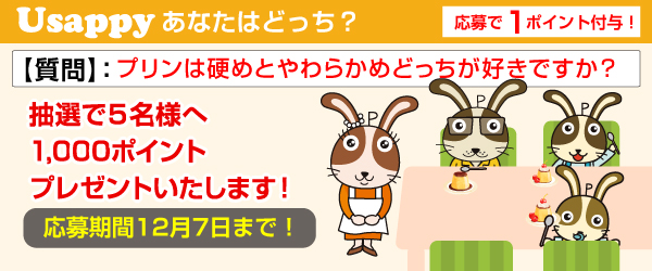 Usappyあなたはどっち？　プリンは硬めとやわらかめどっちが好きですか？