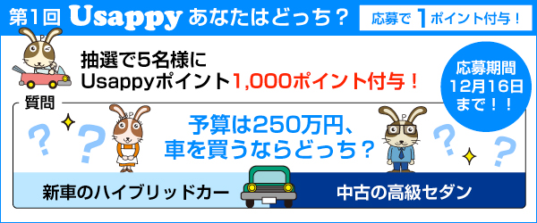 予算は250万円、車を買うならどっち？？
