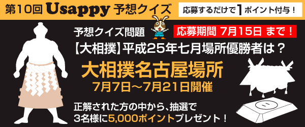 【大相撲】平成25年七月場所優勝者は？？