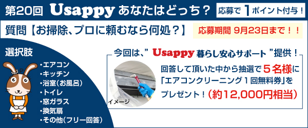 【お掃除、プロに頼むなら何処？】？