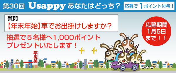 【年末年始】車でお出掛けしますか？？