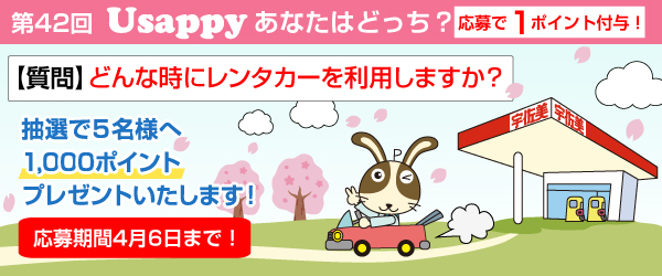 どんな時にレンタカーを利用しますか？？