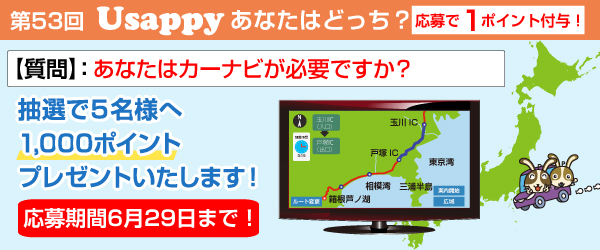 あなたはカーナビが必要ですか？？