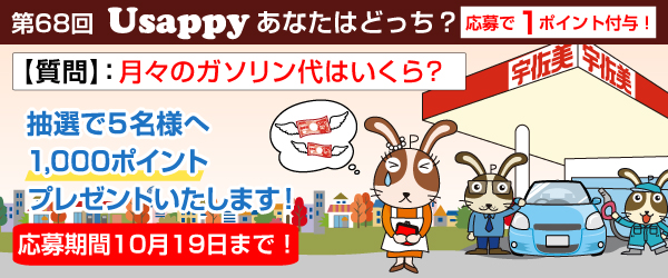 月々のガソリン代はいくら？？