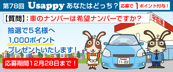 車のナンバーは希望ナンバーですか？？