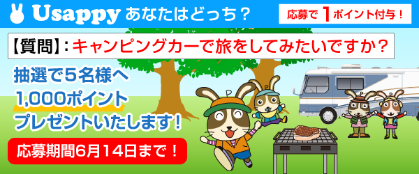 キャンピングカーで旅をしてみたいですか？？