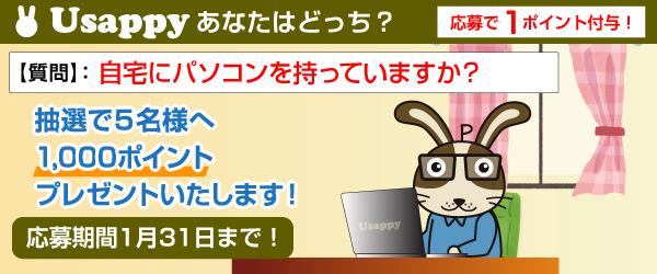 自宅にパソコンを持っていますか？？