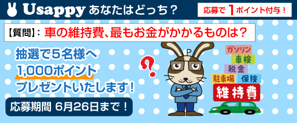車の維持費、最もお金がかかるものは？？