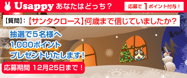 【サンタクロース】何歳まで信じていましたか？？