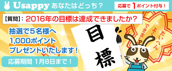 2016年の目標は達成できましたか？？