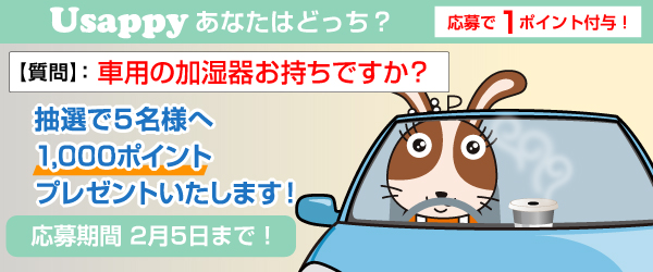 車用の加湿器お持ちですか？？