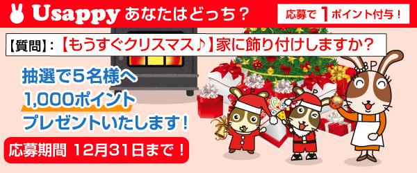 【もうすぐクリスマス♪】家に飾り付けしますか？？