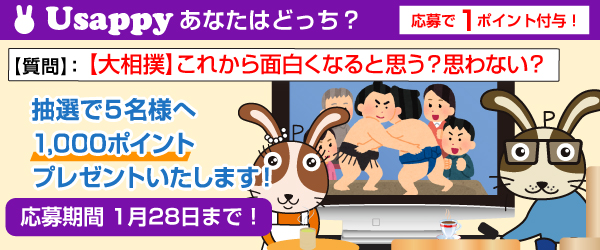 【大相撲】これから面白くなると思う？思わない？？