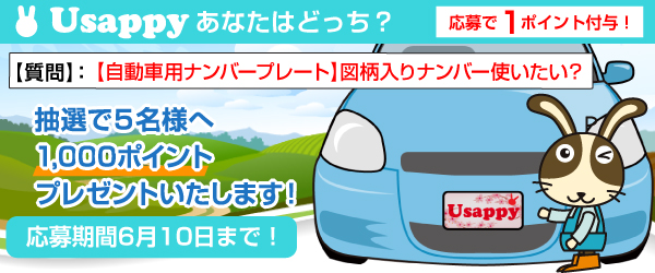 【自動車用ナンバープレート】図柄入りナンバー使いたい？？