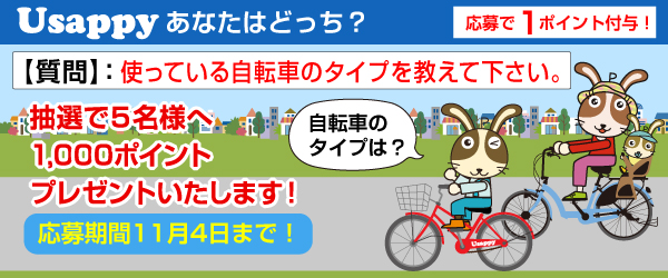 使っている自転車のタイプを教えて下さい。？