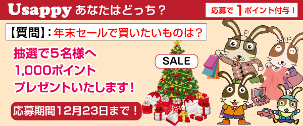 年末セールで買いたいものは？？