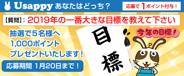 2019年の一番大きな目標を教えて下さい？