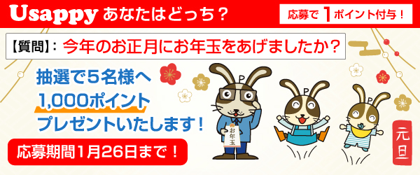 今年のお正月にお年玉をあげましたか？？