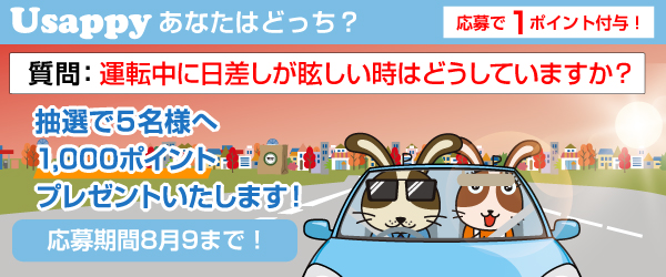 運転中に日差しが眩しい時はどうしていますか？？
