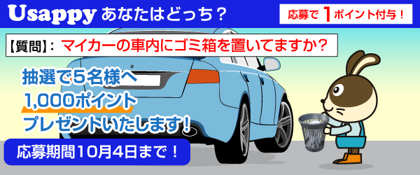マイカーの車内にゴミ箱を置いてますか？？