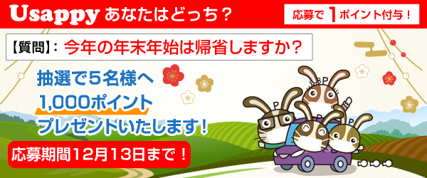 今年の年末年始は帰省しますか？？
