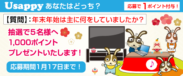 年末年始は主に何をしていましたか？？