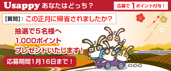 この正月に帰省されましたか？？