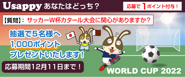 サッカーW杯カタール大会に関心がありますか？？