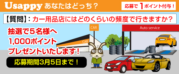 カー用品店にはどのくらいの頻度で行きますか？？