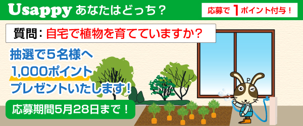 自宅で植物を育てていますか？？