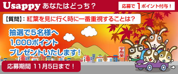 紅葉を見に行く時に一番重視することは？？