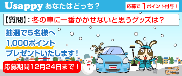 冬の車に一番かかせないと思うグッズは？？