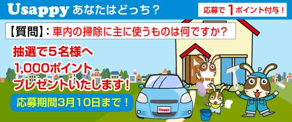 車内の掃除に主に使うものは何ですか？？