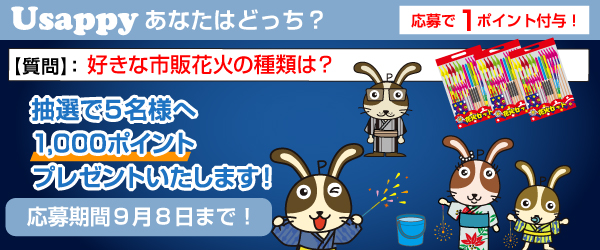 好きな市販花火の種類は？？