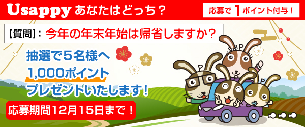 今年の年末年始は帰省しますか？？