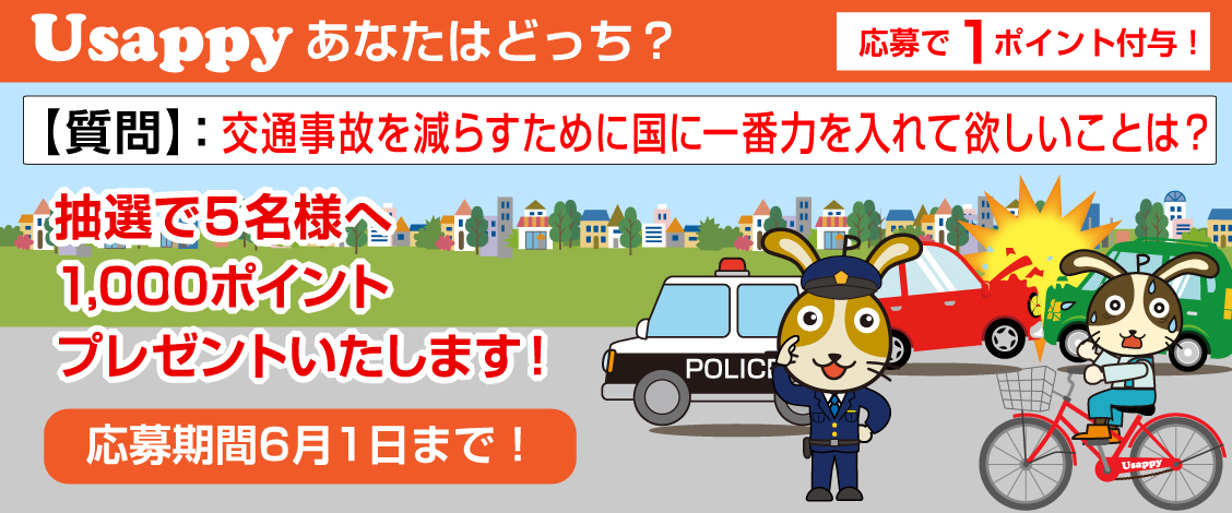 交通事故を減らすために国に一番力を入れて欲しいことは？？