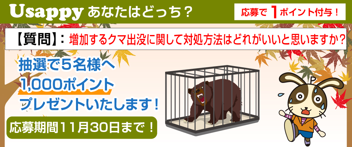 増加するクマ出没に関して対処方法はどれがいいと思いますか？？