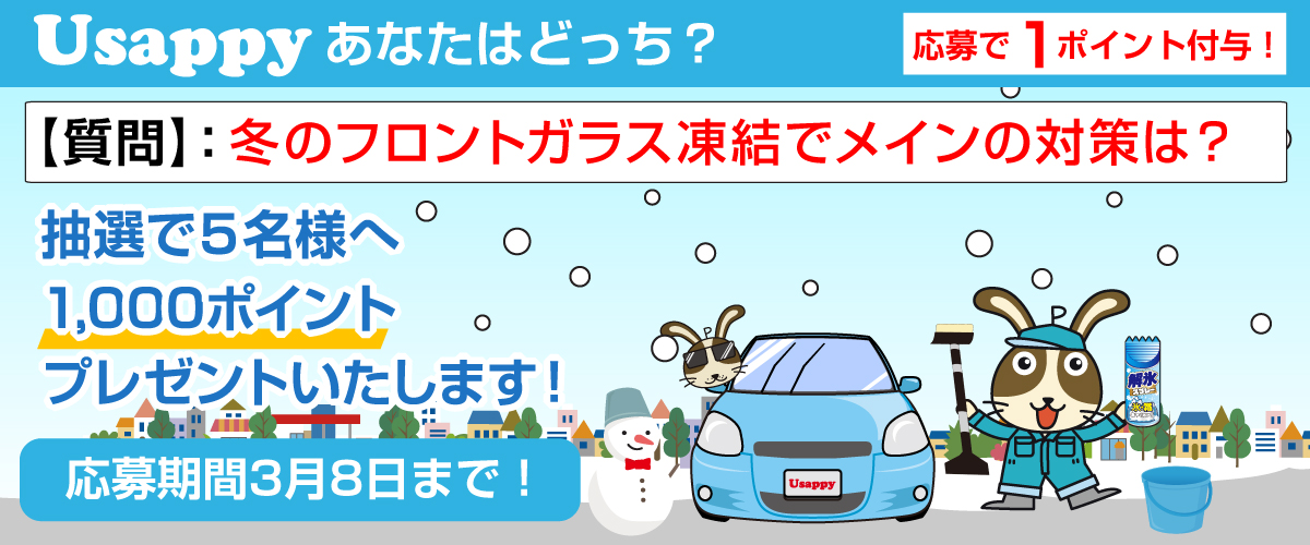 冬のフロントガラス凍結でメインの対策は？？