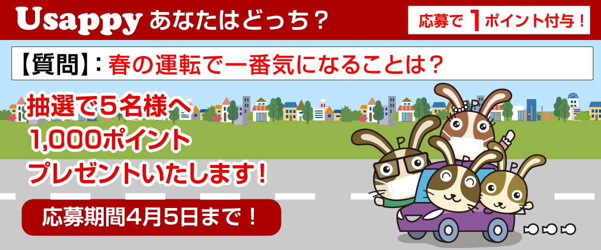 春の運転で一番気になることは？？