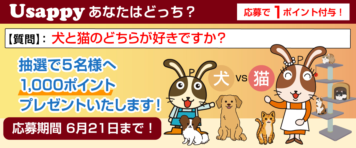 犬と猫のどちらが好きですか？？