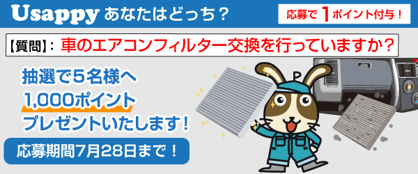 Usappyあなたはどっち？　車のエアコンフィルター交換を行っていますか？