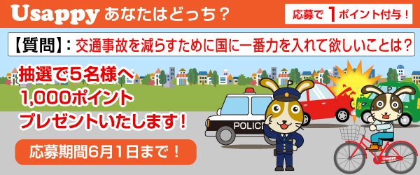 Usappyあなたはどっち? 交通事故を減らすために国に一番力を入れて欲しいことは?
