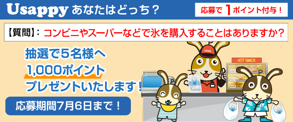 Usappyあなたはどっち? コンビニやスーパーなどで氷を購入することはありますか?